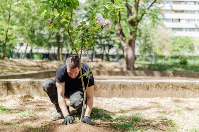 Entretien et conception de jardins